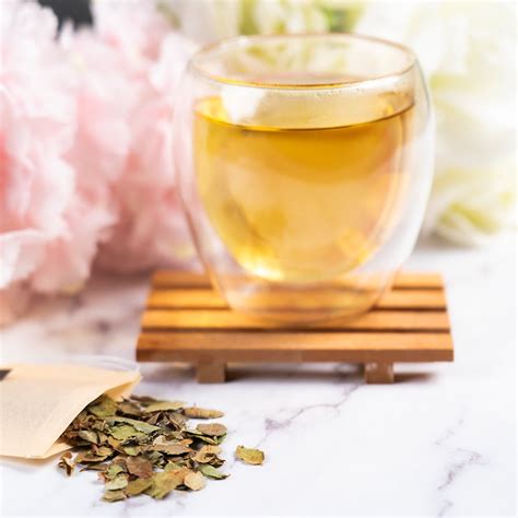 What is Bilberry Leaf Tea? - History, Benefits, and More – Full Leaf ...