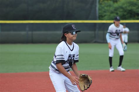 Image result for Lab Baseball