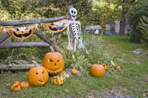 Adornos para Halloween | Estilo de Vida Hogar | Univision