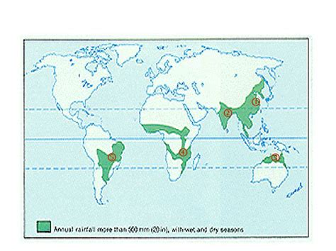 world map of tropical monsoon region - Brainly.in