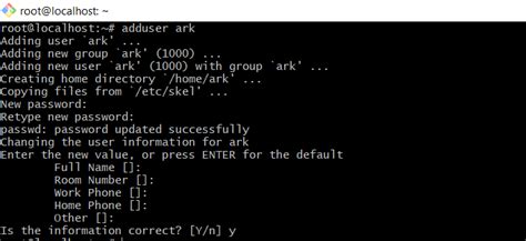 Ark Server Linux Ubuntu 20.04 的图像结果