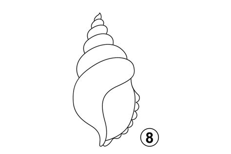 Image result for How to Draw Cute Shell