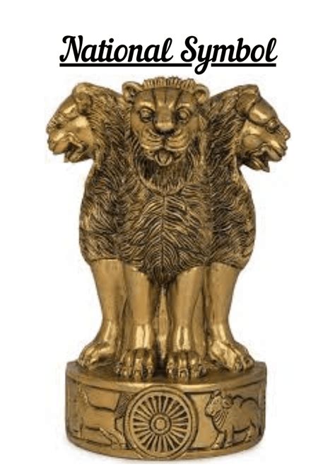 National Symbols - 1 Flashcard - Flashcards for Kids - Class 6