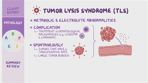 Tumor lysis syndrome (TLS): Nursing Process (ADPIE) - Osmosis Video Library