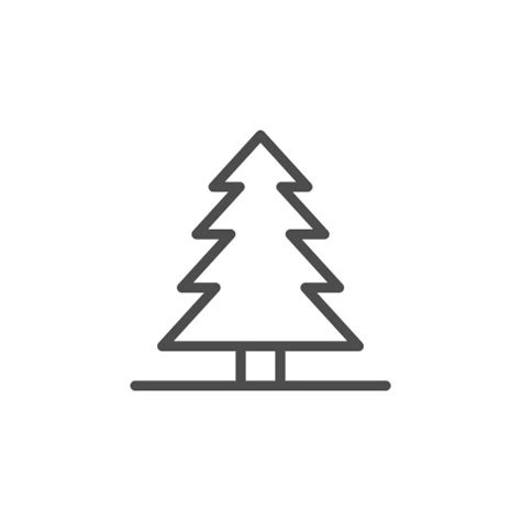 Pine Tree Outline 的图像结果