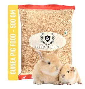 Buy GLOBAL GREEN - Guinea Pig Food for Young to Senior high protine ...