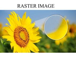 Image result for Computer Graphics Random Scan Memory