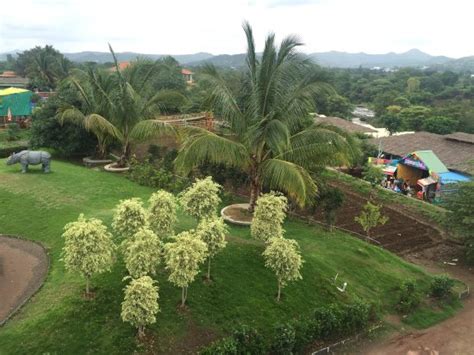 Khed Tourism (2024): All You Need to Know Before You Go