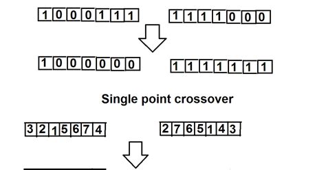 crossover in hindi - data mining and warehousing