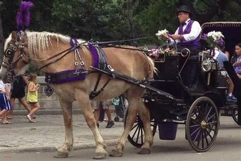 TROY CARRIAGES (2026) All You Need to Know BEFORE You Go (with Photos ...