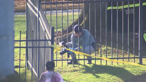 Shooting near Tacoma Community College investigated | king5.com