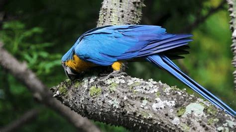 Image result for Logging Software