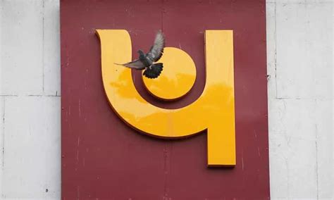 PNB customers ALERT! No more physical documentation needed as bank's ...