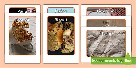 Deformare și rupere – Fotografii (teacher made) - Twinkl
