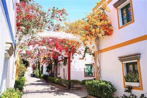 Puerto de Mogan and Canarian Market - Gran Canaria 2024 - Viator