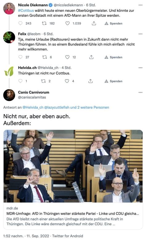 Cottbus: AfD-Kandidat Lars Schieske geht in OB-Stichwahl