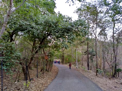 Polo Forest Tour Package - Polo Safari