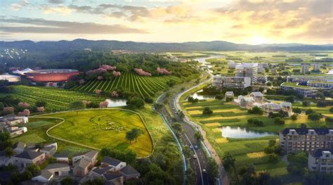 园区 的图像结果