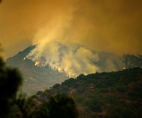 Stop Making Global Warming the Scapegoat for Fires | Newsmax.com