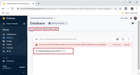 Image result for Setting Up Firebase Database