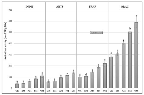 Antioxidant Activity of Elderberry Fruits during Maturation