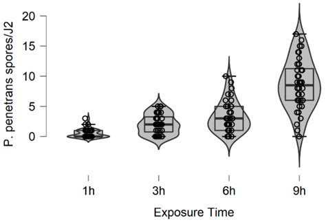 Modeling the Overdispersion of Pasteuria penetrans Endospores