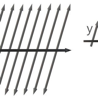 Backbone Tutorial 的图像结果