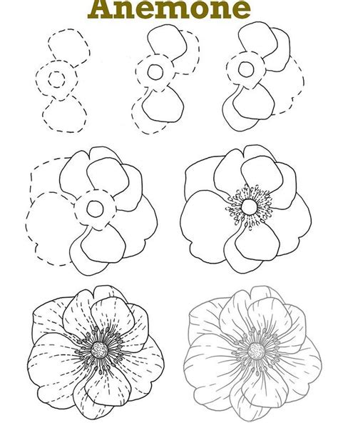 Image result for How to Draw Inflorescences