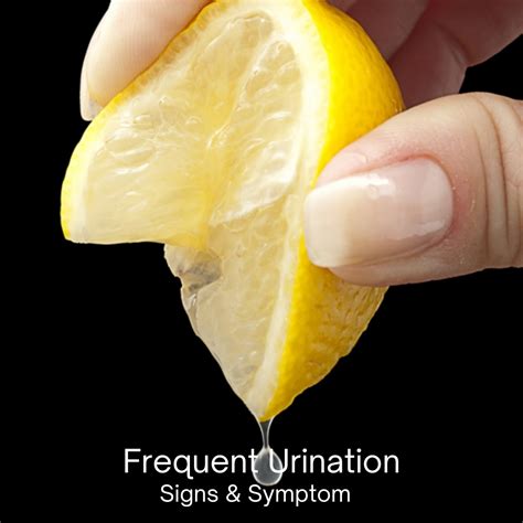 Understanding Frequent Urination: Causes, Diagnosis, and Treatment