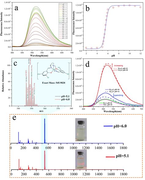 Rigid Schiff Base Complex Supermolecular Aggregates as a High ...