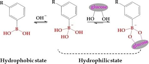 Boronic Acid as Glucose-Sensitive Agent Regulates Drug Delivery for ...