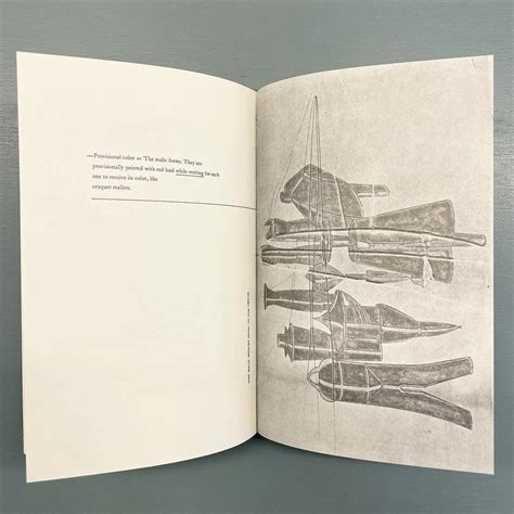 Marcel Duchamp/Richard Hamilton - The bride stripped - Saint-Martin ...