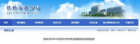 中国钢铁网的所有页面设计（原站很烂，改版后因为还要尊重原版，所以很受局限）|UI|图标|飘飘云子 - 原创作品 - 站酷 (ZCOOL)