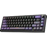 Amazon.in: Buy Kreo Hive 65 RGB Mechanical Gaming Keyboard | Pre-Lubed ...