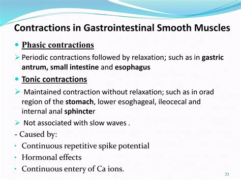 Introduction to Git Physiology | PPT
