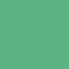 Green Mint Colour by Mint Green Colour Gel Aimee Lloyd Macarons Green Mint Colour