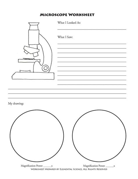 Image result for Worm Microscope Observations Worksheet