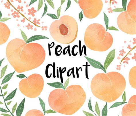 Peach Clip Art