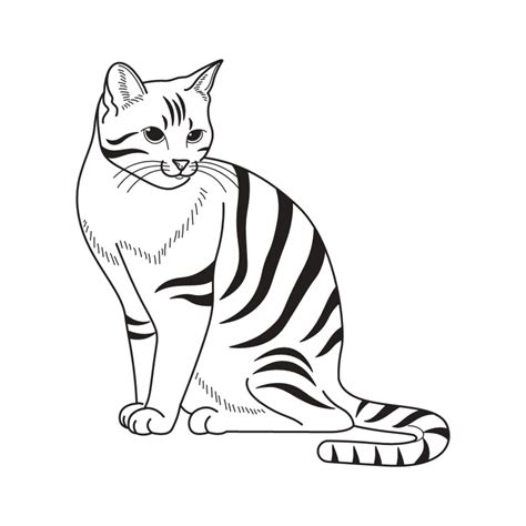 Hand Drawn Cat Outline SVG Black and White Illustration Cute Kitten Clipart Silhouette Vector ...