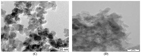Are Biogenic and Pyrogenic Mesoporous SiO2 Nanoparticles Safe for ...