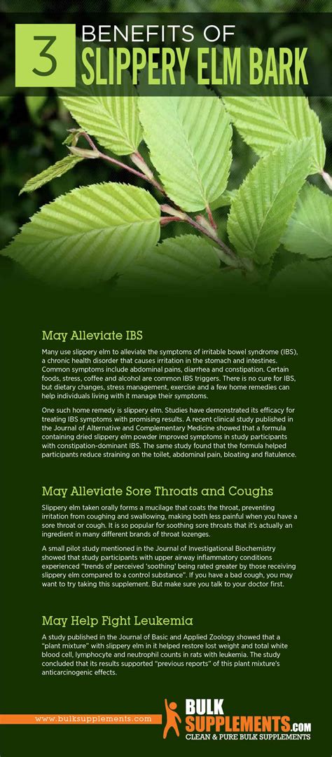 Slippery Elm Bark: Benefits, Side Effects & Dosage