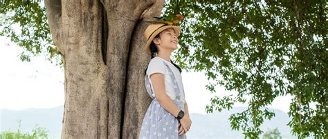 Image result for Geneco Repo