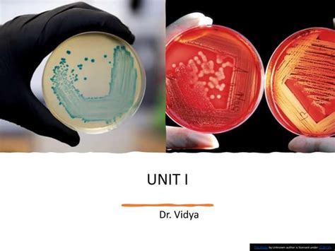 Image result for Course Prokaryotes