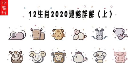 【生肖運勢】2020年12生肖運勢詳解（上）|鼠、牛、虎、兔、龍 - YouTube