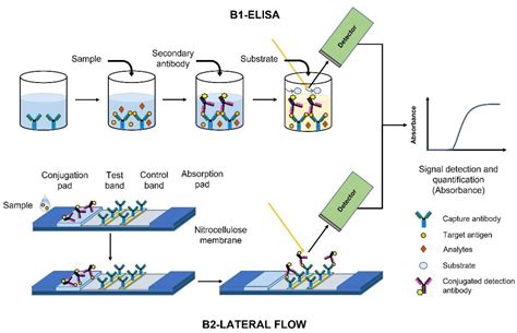 A review of Optical Point-of-Care devices to Estimate the Technology ...