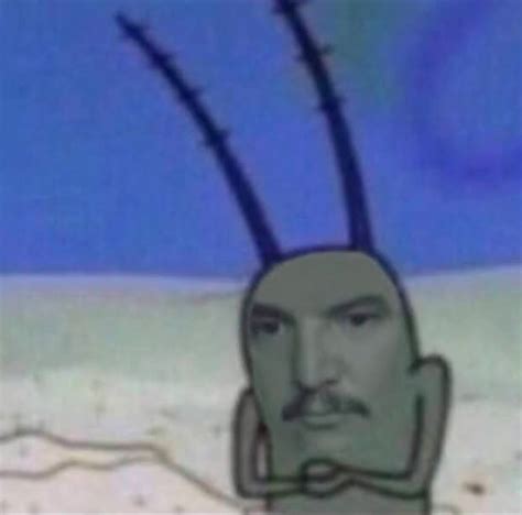 Image result for Pascal Covert