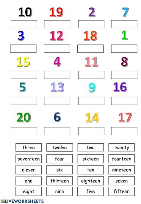 Math Numbers Worksheet PDF 的图像结果