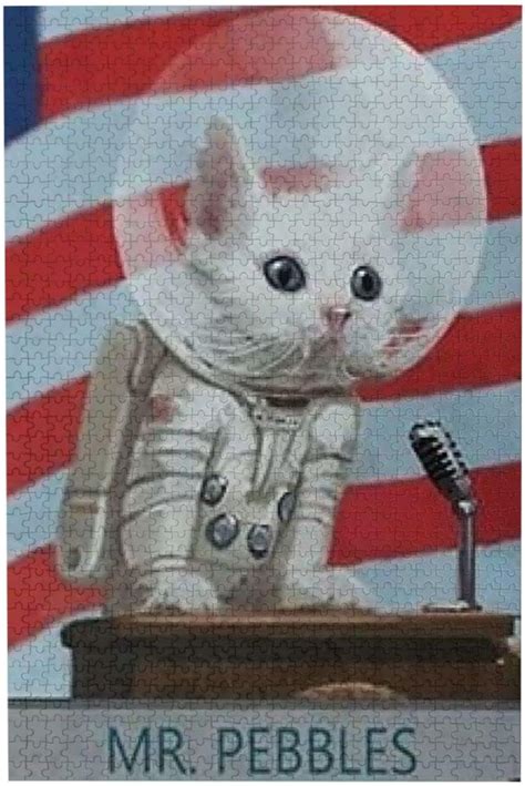 The First Cat in Space 300 Piece Format Jigsaw | Ubuy India