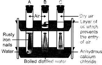 Metals and Non-Metals Important Questions Class 10 Science PDF Download