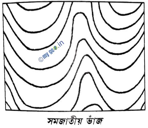ভাঁজের সংজ্ঞা ও ধারণা Definition and Concept of Fold